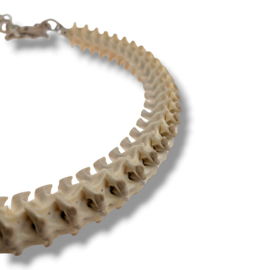 Authentic Snake Vertebrae Necklace, 30 Inch Handcrafted Bone Cord