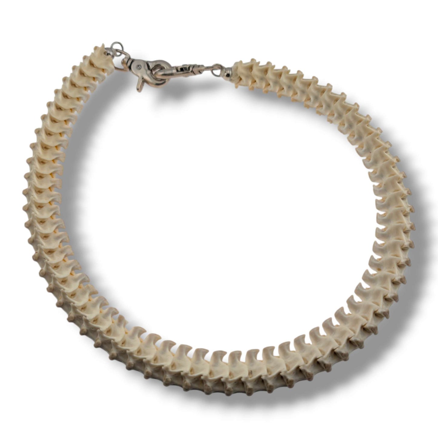 Authentic Snake Vertebrae Necklace, 30 Inch Handcrafted Bone Cord