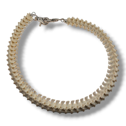 Authentic Snake Vertebrae Necklace, 30 Inch Handcrafted Bone Cord