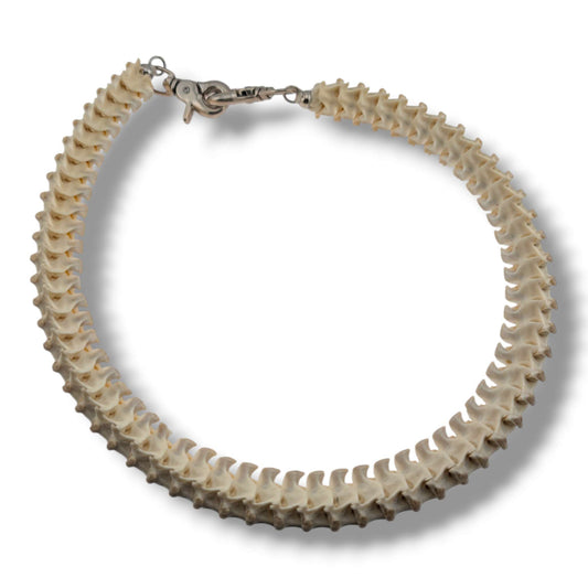 Authentic Snake Vertebrae Necklace, 30 Inch Handcrafted Bone Cord
