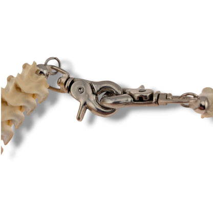 Authentic Snake Vertebrae Necklace, 30 Inch Handcrafted Bone Cord