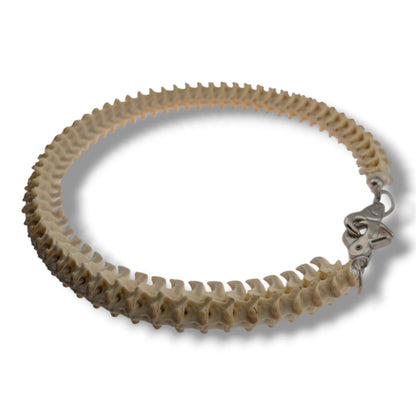 Authentic Snake Vertebrae Necklace, 30 Inch Handcrafted Bone Cord