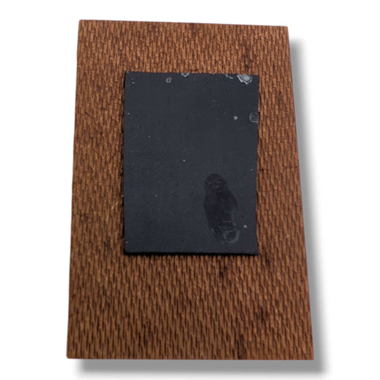 End of the Trail Black Sand Navajo Painting Magnet by Molly Goldtooth